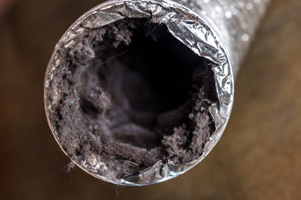 Reliable Whiteman Af, MO Airduct Cleaning Solutions