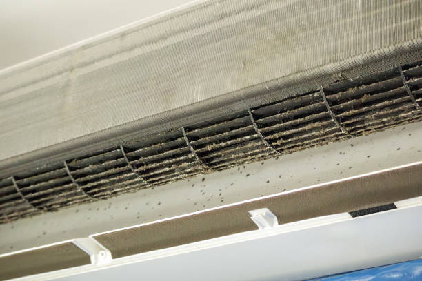 Best Professional Duct Cleaning Services  in Whiteman Af, MO